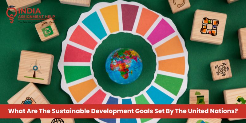 What Are The Sustainable Development Goals Set By The United Nations?