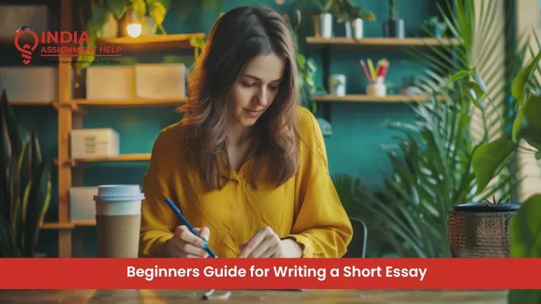 Beginners Guide for Writing a Short Essay