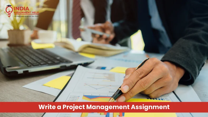 Complete Guide to Know How to Write a Project Management Assignment