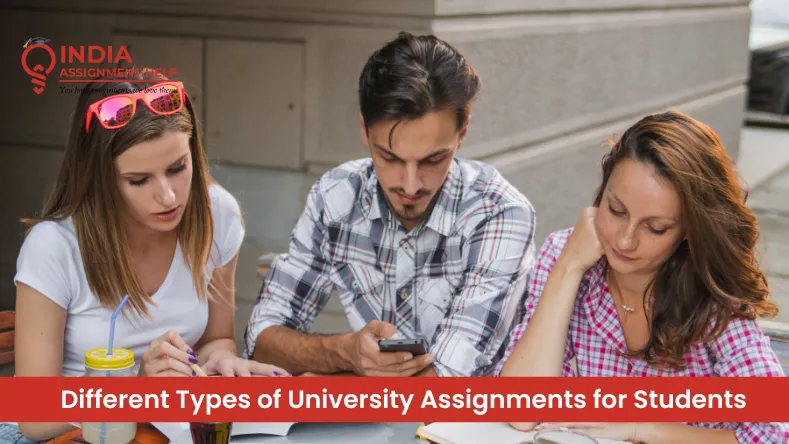 Different Types of University Assignments for Students