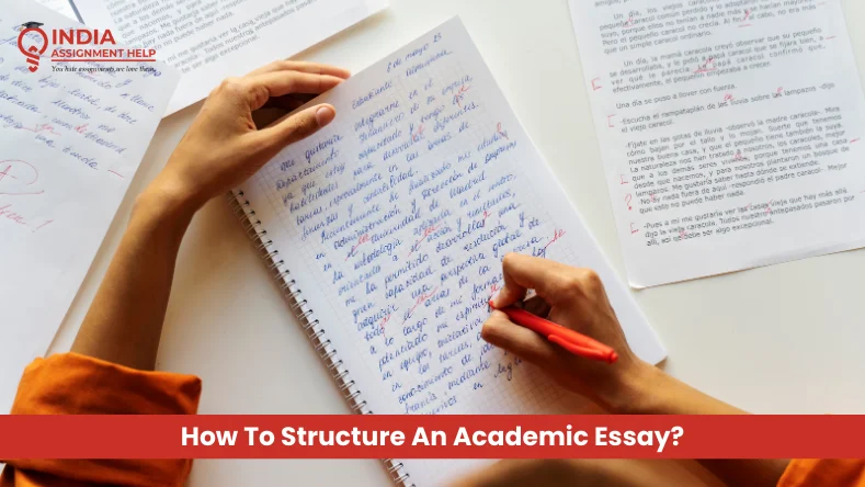 How To Structure An Academic Essay?