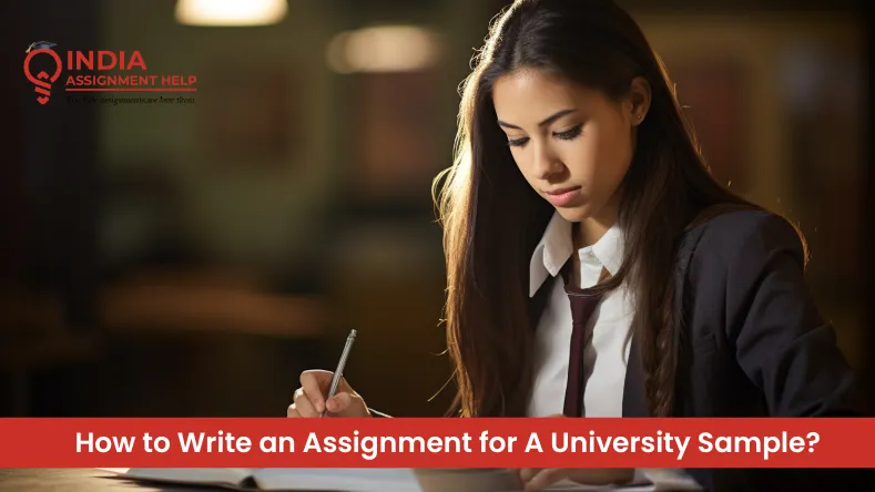 How to Write an Assignment for A University Sample?