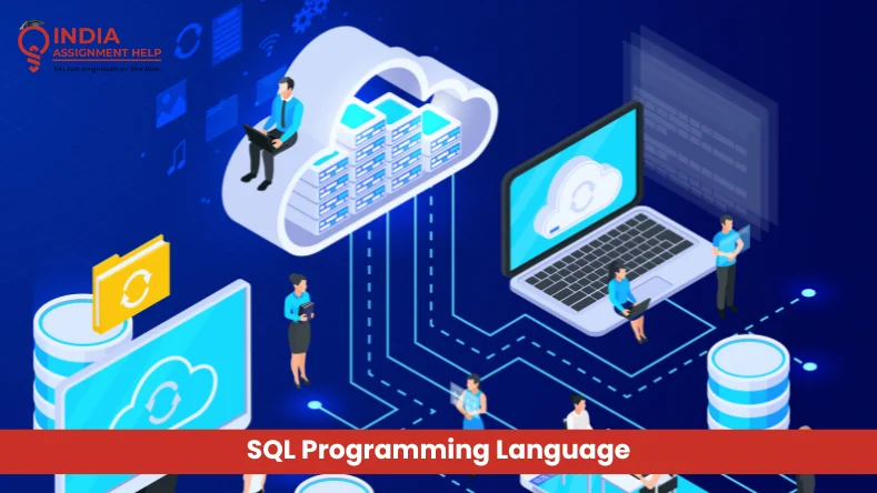 What Does SQL Mean on A Website?