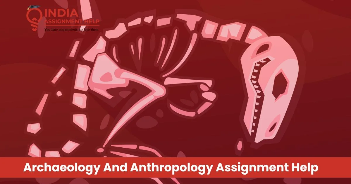 Archaeology And Anthropology Assignment Writer: Your Road To Excellence