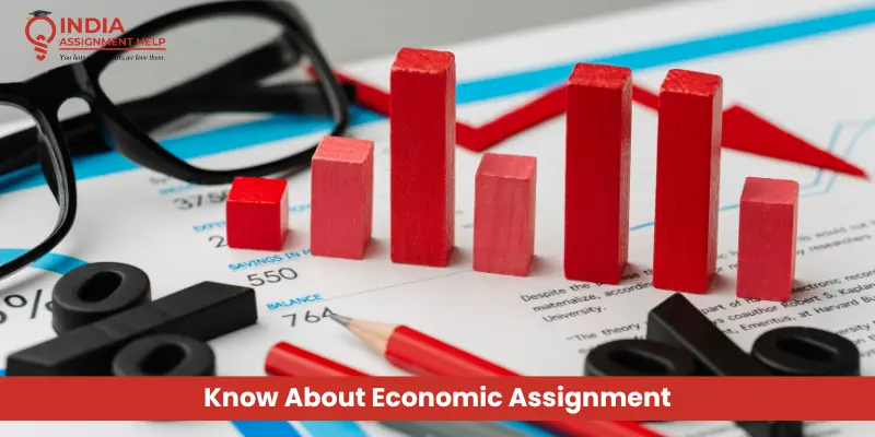 What Are The Tips To Score Excellent Marks In An Economics Assignment?